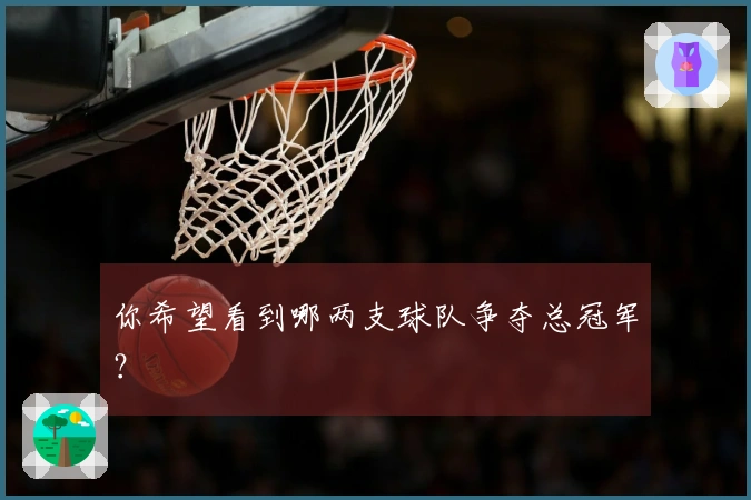 你希望看到哪两支球队争夺总冠军？